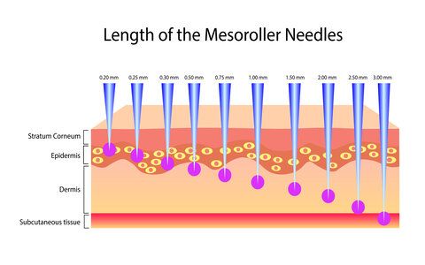 Length of the mesoroller needles, Vector illustration isolated